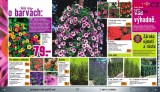 Hornbach aktu�ln� let�k